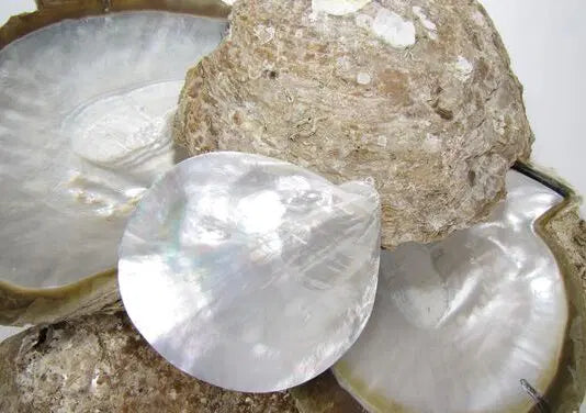 Shell
