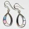 Larme Multi Coloured Earrings